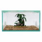 Preview: Decorative tree fern group